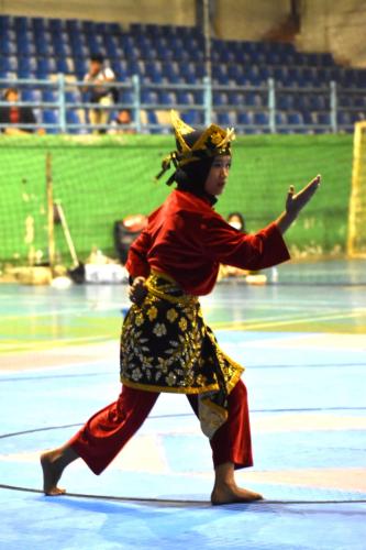 Solehatu Novita Sabet Emas Silat Seni Tunggal Putri POPDA Babel